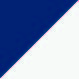Navy/White