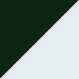Forest Green/White