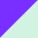 Fuchsia/White