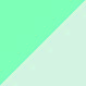 Turquoise/White