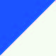Sporty Royal Blue/White